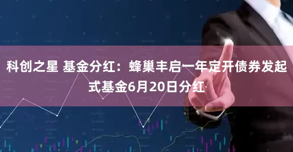 科创之星 基金分红：蜂巢丰启一年定开债券发起式基金6月20日分红