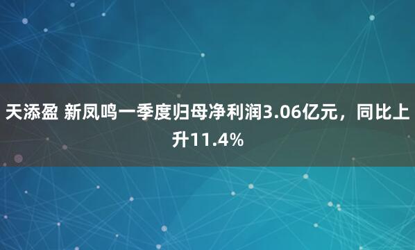 天添盈 新凤鸣一季度归母净利润3.06亿元，同比上升11.4%