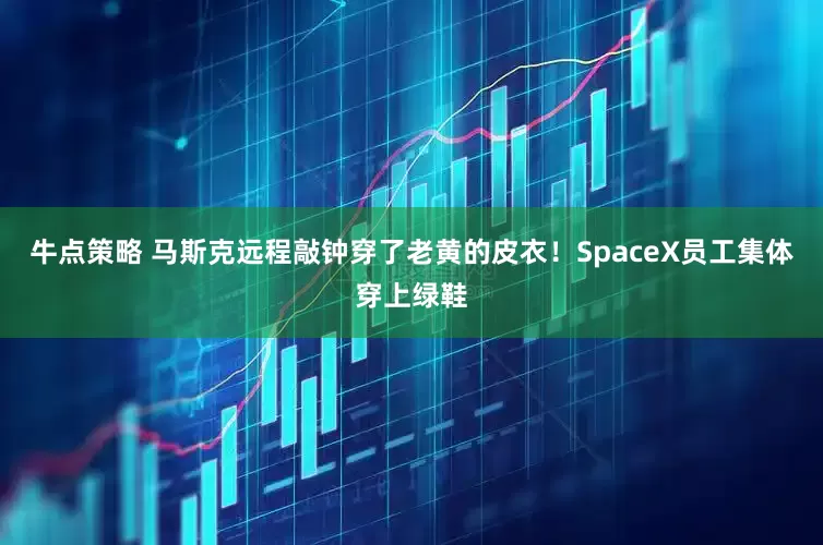牛点策略 马斯克远程敲钟穿了老黄的皮衣！SpaceX员工集体穿上绿鞋